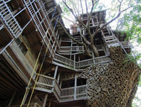 [ẢNH] Những ngôi nhà cây có thiết kế 