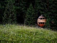 [ẢNH] Những ngôi nhà cây có thiết kế 