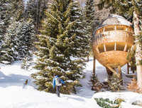 [ẢNH] Những ngôi nhà cây có thiết kế 