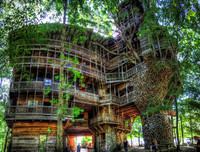 [ẢNH] Những ngôi nhà cây có thiết kế 