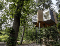 [ẢNH] Những ngôi nhà cây có thiết kế 