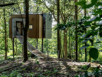 [ẢNH] Những ngôi nhà cây có thiết kế 