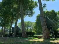 [ẢNH] Những ngôi nhà cây có thiết kế 