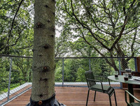 [ẢNH] Những ngôi nhà cây có thiết kế 