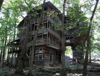 [ẢNH] Những ngôi nhà cây có thiết kế 