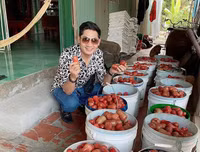 [ẢNH] Sao Việt làm gì trong những ngày nghỉ vì đại dịch Covid-19?