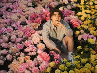 [ẢNH] Loạt sao Việt tạm gác lại sự nghiệp dù đang ở thời kỳ đỉnh cao