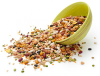 [ẢNH] Điểm danh những 