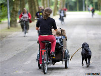 [ẢNH] Nhiều quốc gia đề xuất cấm ô tô chạy bằng xăng dầu