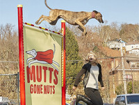 [ẢNH] Những kỷ lục Guinness kỳ lạ nhất hành tinh