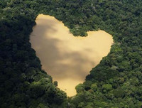 [Ảnh] Xót xa vẻ đẹp huyền bí của rừng rậm Amazon trước khi xảy cháy kinh hoàng