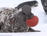 [ẢNH] Khám phá những 