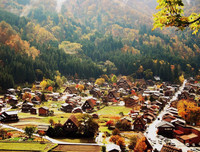 [ẢNH] Chiêm ngưỡng 