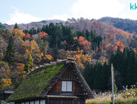 [ẢNH] Chiêm ngưỡng 