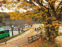 [ẢNH] Chiêm ngưỡng 