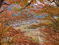 [ẢNH] Chiêm ngưỡng 