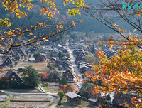 [ẢNH] Chiêm ngưỡng 