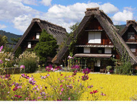 [ẢNH] Chiêm ngưỡng 