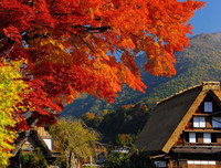 [ẢNH] Chiêm ngưỡng 