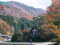 [ẢNH] Chiêm ngưỡng 