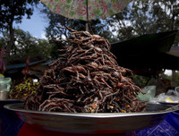 [ẢNH] Những đặc sản 