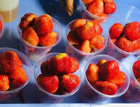 [ẢNH] Những món ngon không thể bỏ lỡ khi du lịch Đà Lạt