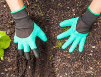 [ẢNH] Những điều cần biết về Whitmore- Bệnh truyền nhiễm có nguy cơ gây tử vong