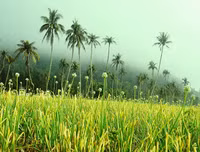 [ẢNH] Top 3 hòn đảo 