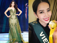 Những nhan sắc Việt từng 