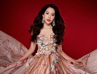 Những nhan sắc Việt từng 