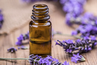 Một vài cách đơn giản trị ong đốt để giảm sưng và đau