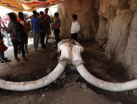 Phát hiện gây sốc về hố bẫy voi ma mút đầu tiên trong lịch sử loài người