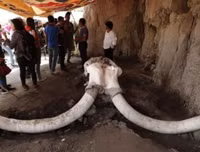 Phát hiện gây sốc về hố bẫy voi ma mút đầu tiên trong lịch sử loài người