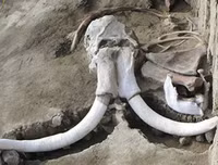 Phát hiện gây sốc về hố bẫy voi ma mút đầu tiên trong lịch sử loài người