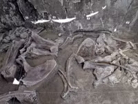 Phát hiện gây sốc về hố bẫy voi ma mút đầu tiên trong lịch sử loài người