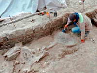 Phát hiện gây sốc về hố bẫy voi ma mút đầu tiên trong lịch sử loài người