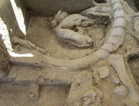 Phát hiện gây sốc về hố bẫy voi ma mút đầu tiên trong lịch sử loài người