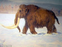 Phát hiện gây sốc về hố bẫy voi ma mút đầu tiên trong lịch sử loài người