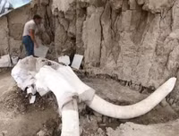 Phát hiện gây sốc về hố bẫy voi ma mút đầu tiên trong lịch sử loài người