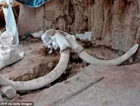 Phát hiện gây sốc về hố bẫy voi ma mút đầu tiên trong lịch sử loài người