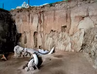 Phát hiện gây sốc về hố bẫy voi ma mút đầu tiên trong lịch sử loài người