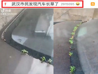 [ẢNH] Vũ Hán đón 