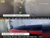 [ẢNH] Vũ Hán đón 