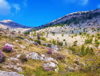 [ẢNH] Mãn nhãn bộ ảnh 1111 ngày vòng quanh thế giới bằng xe máy của Trần Đặng Đăng Khoa (P2)