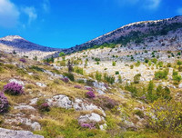 [ẢNH] Mãn nhãn bộ ảnh 1111 ngày vòng quanh thế giới bằng xe máy của Trần Đặng Đăng Khoa (P2)