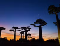 [ẢNH] Mãn nhãn bộ ảnh 1111 ngày vòng quanh thế giới bằng xe máy của Trần Đặng Đăng Khoa (P2)