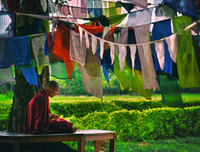 [ẢNH] Mãn nhãn bộ ảnh 1111 ngày vòng quanh thế giới bằng xe máy của Trần Đặng Đăng Khoa (P2)