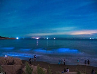 [ẢNH] Vẻ đẹp huyền diệu của những bãi biển tự phát sáng trong đêm