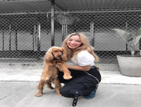 [ẢNH] Những quán cà phê thú cưng hút khách trên thế giới