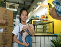 [ẢNH] Những quán cà phê thú cưng hút khách trên thế giới